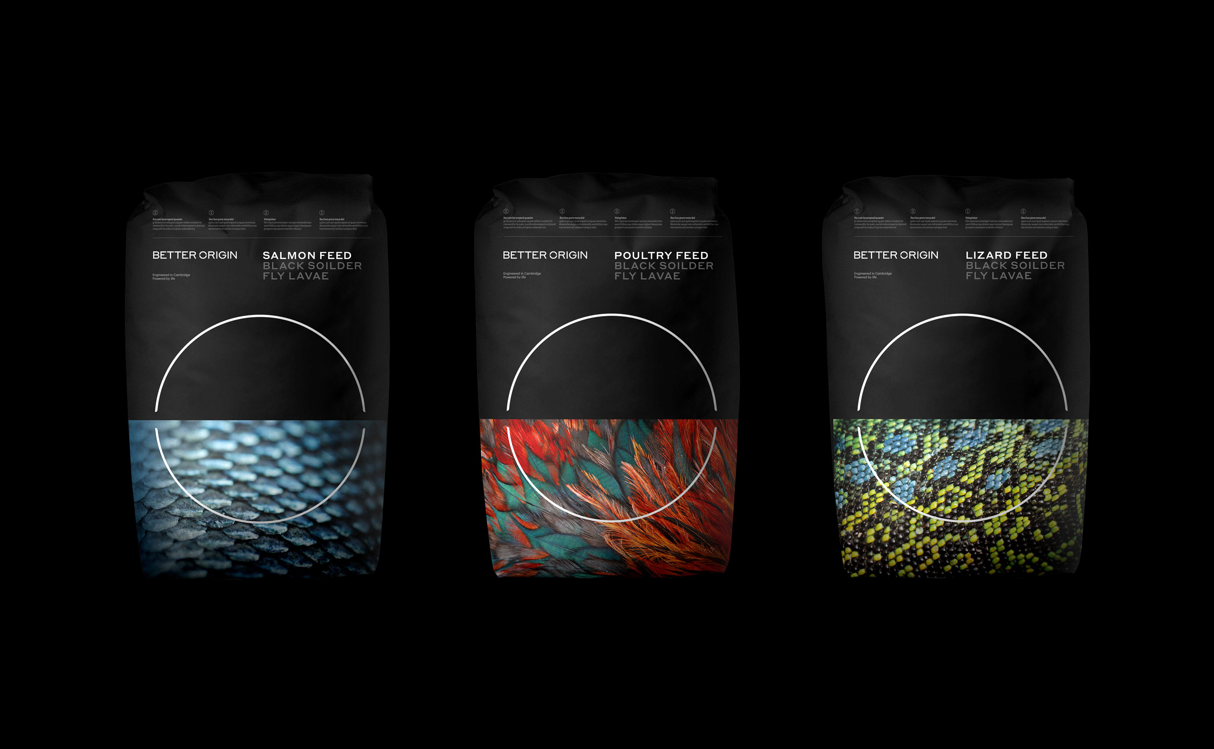 Better_origin__brand_idenity_packaging